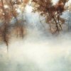 Instantes-niebla,2015